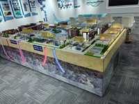 Maquette de table de sable pour la planification de la construction industrielle à grande échelle destinée aux expositions gouvernementales