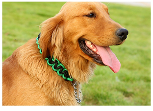 Grosir tali nilon tenun tenun dikepang Martingale Paracord kerah anjing peliharaan untuk anjing - Product Image 6