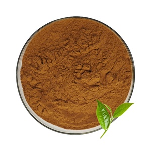 Polifenol de té a granel natural CAS 84650-60-2 Polvo de extracto de té verde 98% Polvo de polifenoles de té - Product Image 1