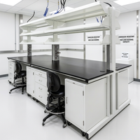 Estaciones de Trabajo de Laboratorio Modulares Modernas Personalizadas con Superficie Fenólica, Construcción de Acero y Madera para Escuelas y Hospitales
