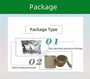 10:1 20:1薬用リグスチリド用バルクアンジェリカ根エキス粉末伝統的な中国の医療材料 - Product Image 5