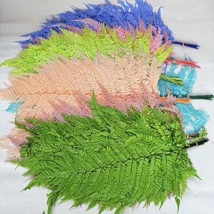 Feuilles de fougère préservées en gros, feuilles de <span class=keywords><strong>Jue</strong></span>, grandes feuilles de <span class=keywords><strong>Jue</strong></span>, petites feuilles, pour la décoration de la maison, la décoration de mariage - Product Image 3