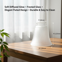 Abat-jour en verre soufflé mat givré de style rustique moderne pour suspension intérieure, idéal pour la salle de bain ou le meuble-lavabo