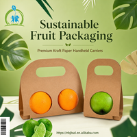 Creatieve boekenstijl fruitverpakkingsset van kraftpapier met handvat voor Kerstavond appel feestdagen cadeautjes