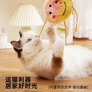 Jouets pour chats, jouets interactifs pour chats, jouets sonores, résistants aux morsures, pour l'auto-entretenissement, jouets en peluche mignons en forme de monstre pour chiens, vente en gros. - Product Image 5