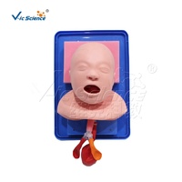 Maniquí de Entrenamiento para Intubación Neonatal, Tamaño Real, PVC, Vía Aérea Oral y Nasal, para Educación en Reanimación de Recién Nacidos, con Certificaciones CE, ISO, ROHS y CNAS