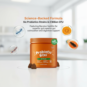 Probiotici per Cani Salute della Pelle e dell'Intestino Diarrea Occasionale Salute Digestiva Allergie Stagionali Olio di Salmone Integratori per Animali Domestici in Formato Morbido - Product Image 3