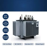 Transformateur de puissance immergé dans l'huile Wanbo-216, haute efficacité, faibles pertes, enroulement en cuivre, norme IEC, OEM disponible