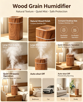 Humidificateur USB Mini Ultra-Silencieux à Grande Capacité (300 ml) pour Maison et Voiture – Vente Chaude, Approvisionnement Direct Usine