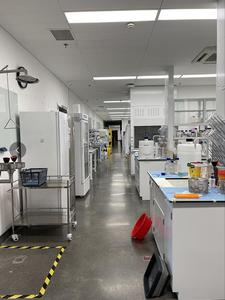 Gomitas de Garcinia Cambogia de Marca Privada OEM, Gomitas Quemagrasas, Extracto Puro de Garcinia, Gomitas para un Vientre Plano - Product Image 6