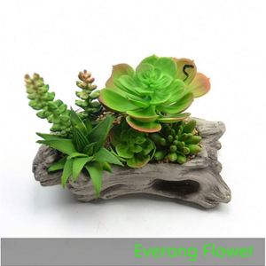 <span class=keywords><strong>Artificial</strong></span> planta suculenta em vaso planta para <span class=keywords><strong>home</strong></span> office decoração 1942037 mini planta - Product Image 5