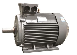มอเตอร์ไฟฟ้ากระแสสลับสามเฟส YE3-225M-4P 45 กิโลวัตต์ 4 โพล 1480 รอบต่อนาที ใช้ในปั๊ม - Product Image 3