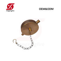 Vente en gros de raccords NPT en aluminium standard américain 2-1/2" NH, capuchon d'hydrant d'incendie en laiton avec couvercle vierge, bouchon de protection d'hydrant d'incendie et chaîne