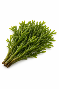 Extracto de Codium Fragile PDRN 10 ppm, Polinucleótido Derivado de Plantas, Materia Prima Cosmética de Alta Pureza, Ingrediente Antienvejecimiento - Product Image 2