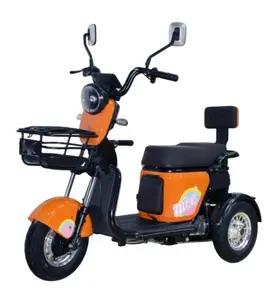 Fabbrica cinese di alta qualità triciclo a tre ruote bici da vendita calda triciclo bicicletta elettrica a tre ruote