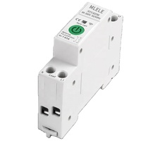 2024 Nouveau Design Smart 4G 2 Pôles 63A MCB Disjoncteur Télécommande Miniature Disjoncteurs pour Smart House Utilisation LI