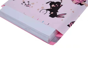 Bán Hàng Trực Tiếp Giá Cả Hợp Lý Tùy Chỉnh Phong Bì Sinh Thái Thân Thiện Với Poly Bưu Phẩm Vận Chuyển Gửi Thư Polymailer Túi Cho Quần Áo - Product Image 3