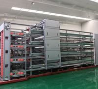 Cage à batterie de type H entièrement automatique pour poules pondeuses avec système d'alimentation, d'abreuvement et de collecte des œufs, haute productivité
