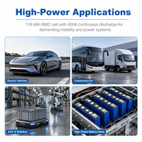 Cellule de batterie lithium-ion rechargeable prismatique NMC haute performance Misen 3,7 V 116,9 Ah 400 A pour véhicules électriques et systèmes de stockage d'énergie