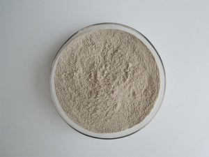 インセンピュア天然オイスターペプチドパウダーオイスターミートエキス - Product Image 5