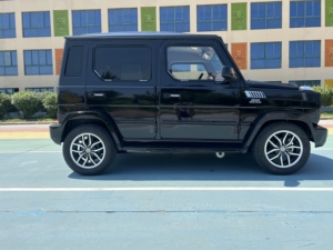 Auto Eléctrico de 4 Ruedas, Mini Auto Eléctrico, Mini Auto Eléctrico Tipo <span class=keywords><strong>G</strong></span> Wagon - Product Image 4