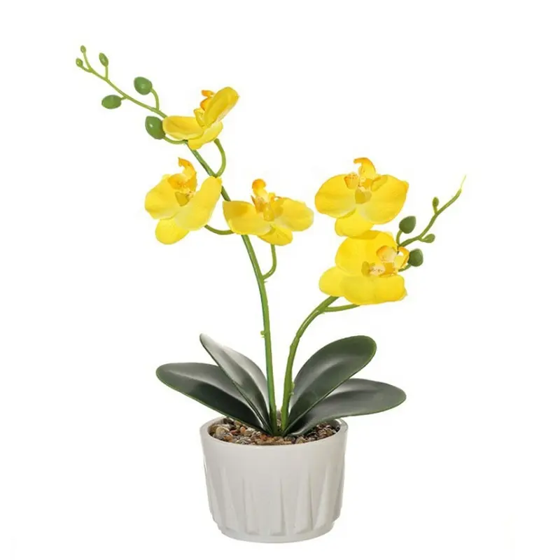 Promoção de portuguese, Compras Online de portuguese Promocionais -  artificial orquídea amarela.alibaba.com