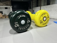 Équipement de sport gonflable géant de forme d'haltère de promotion personnalisée pour la publicité de club de fitness
