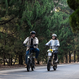 <span class=keywords><strong>Vélo</strong></span> électrique à pneus larges KOOLUX X16 <span class=keywords><strong>20</strong></span> <span class=keywords><strong>pouces</strong></span> avec batterie au lithium 48V 15.6Ah, moteur 250W, 7 vitesses, pliable pour les trajets hors route - Product Image 2