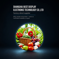Module d'affichage LCD TFT rond de 4,0 pouces 720x720