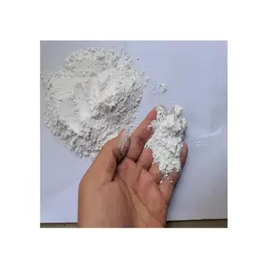 Filler Wollastonite produzione professionale polvere bianca ceramica Wollastonite di alta qualità