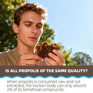 Ekstrak Propolis OEM Serbuk Sari Lebah Alami Ultra Murni Suplemen Imunitas Meningkatkan Energi Fokus Segar Keto <span class=keywords><strong>Paleo</strong></span> Royal Jelly Tablet - Product Image 2