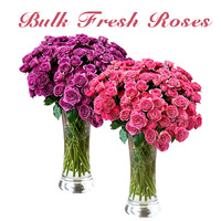 Fleurs de rose Sophie Baby avec parfum léger de thé pour arrangements floraux haut de gamme
