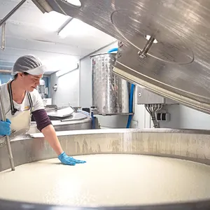 दूध के लिए छोटे पैमाने पर पनीर बनाने के उपकरण 1000 लीटर पनीर वैट मोत्ज़ारेला