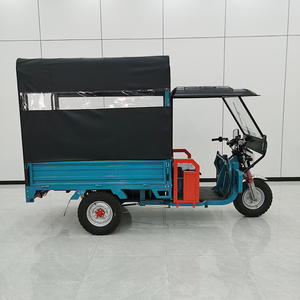 Tricycle électrique urbain direct d'usine <span class=keywords><strong>pour</strong></span> adultes passagers 60v corps fermé passagers de vélo électrique Tricycle électrique couvert - Product Image 4