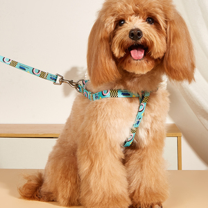 Conjunto de Arnés para Perro Acolchado de Neopreno Cómodo - Correa Ajustable Ecológica con Estampado de Sublimación en Bloques de Color - Product Image 4