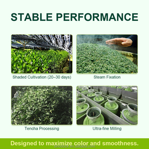 ผงชาเขียวมัทฉะเกรดพิธีกรรมออร์แกนิก SINODOCK พรีเมียมบริสุทธิ์ บรรจุภัณฑ์กล่องใหญ่ ชาเพื่อสุขภาพ ชาแบบดั้งเดิม - Product Image 5