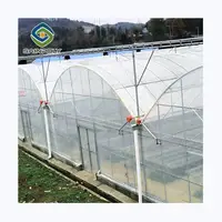Sainpoly - Plastic Film Greenhouse with Complete Systems