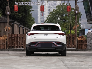 Auto Eléctrico Sedán Smart Elf Dynamic 4WD con Alta Velocidad y Batería <span class=keywords><strong>de</strong></span> Litio Dinámica, Vehículo <span class=keywords><strong>de</strong></span> Nueva Energía - Product Image 5