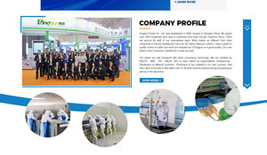 Venta Caliente Buen Precio Filete de Caballa Española Congelada - Product Image 5