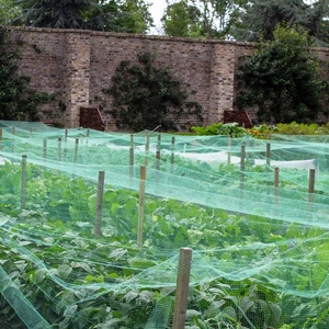 पक्षी-विरोधी जाल घर के बगीचे के अंगूर सफेद हरे रंग के विरोधी सेब पेड़ संरक्षण नायलॉन पक्षी कृषि मछली तालाब के लिए जाल - Product Image 5