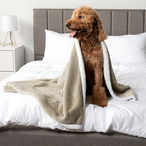 Couverture en polaire tricotée imperméable pour chien et chat, utilisable en toutes saisons, protection anti-fuite en polaire Sherpa pour couvrir le canapé - Product Image 4