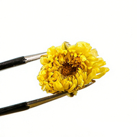 Thé de fleurs de chrysanthème biologique sain chinois Yanlinzhuang en gros, usine de thé, extrait d'herbes naturelles, Anhui