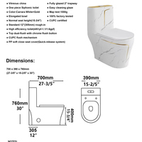 OVS-Cuvette de toilette moderne avec accents dorés 1,28GPF, texture de marbre nano, autonettoyante, une pièce, comode, pour le Canada