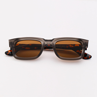 Lunettes de soleil carrées rétro S2610 pour hommes et femmes, lunettes de soleil tendance en PC, design de marque de luxe, lunettes populaires et abordables, Oculos De Sol