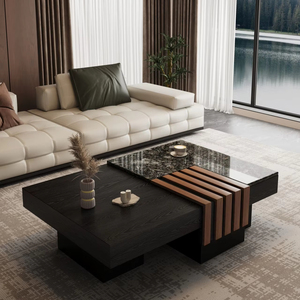 Tavolino da Caffè Rettangolare Innovativo in Stile Antico, Lusso Leggero, Moderno e Minimalista, con <span class=keywords><strong>Spazio</strong></span> di Archiviazione per Soggiorno e <span class=keywords><strong>Casa</strong></span> - Product Image 2