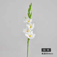 Anggrek Gladiolus PU Artificial 56cm, Kualitas Eksklusif, Sentuhan Realistis, Warna Putih Pink, Cocok untuk Dekorasi Acara Pesta Musim Dingin
