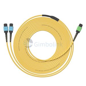 <span class=keywords><strong>สาย</strong></span>แพทช์คอร์ดใยแก้วนำแสง Gimbo 16 คอร์ MTP/MPO แบบ Single/Multimode 2*8 คอร์ ตัวนำทองแดง 10 กิกะบิต สำหรับ 5G/4G - Product Image 6