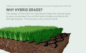 MCG HybridLawn durante todo el año-Césped artificial para un césped más verde y duradero - Product Image 3