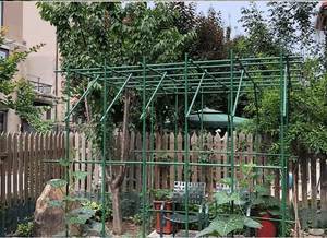 <b>Gardening</b> Pillar Climbing Vine Support <b>Pole</b> Plant Support Melon and Fruit Vegetable Support <b>Pole</b> - Product Image 2