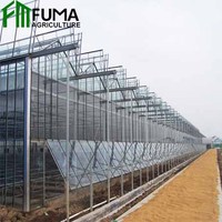 Équipement agricole de système de culture hydroponique vertical automatisé FM utilisé serres en verre intelligentes